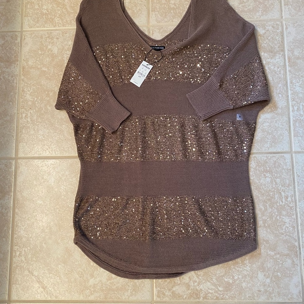NWT EXPRESS SWEATER